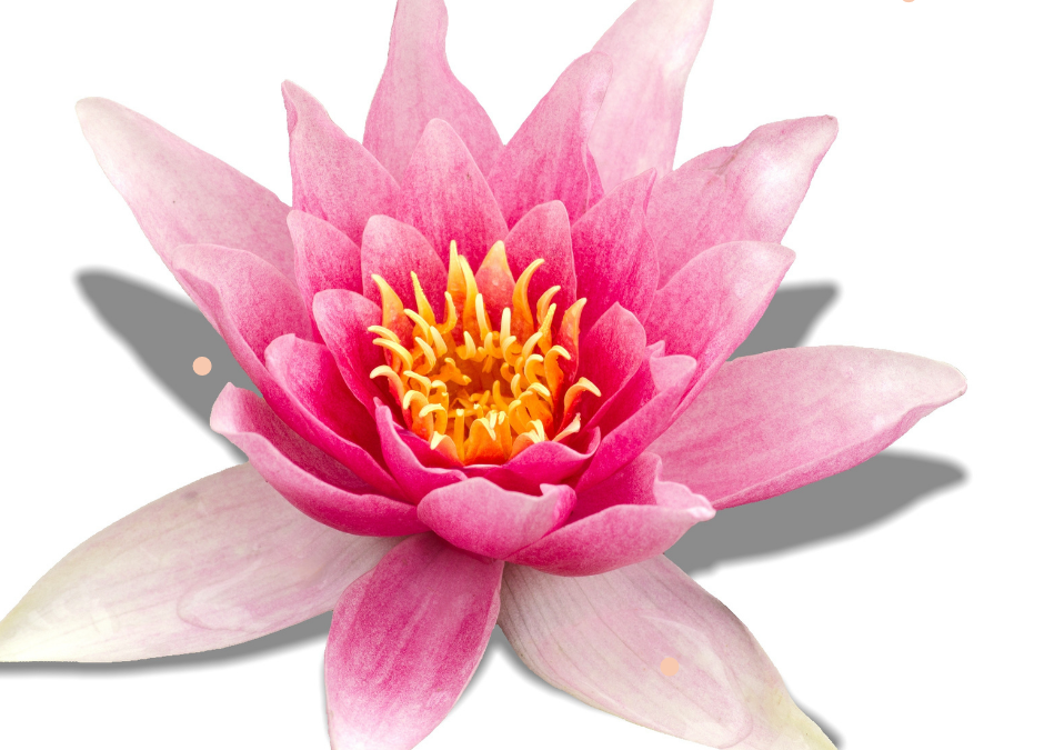 Curious About Taking A Chance On Yourself?