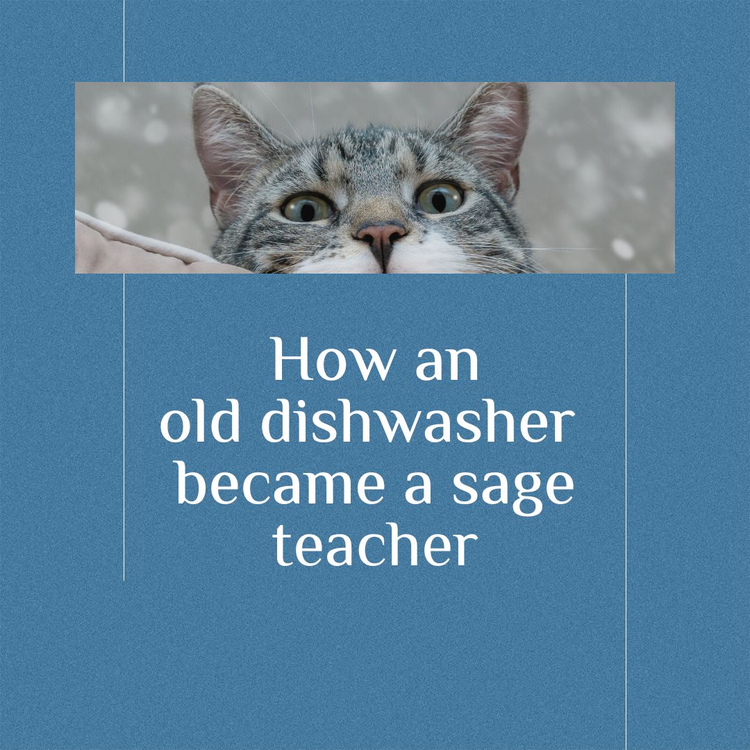 dishwasher became sage teacher