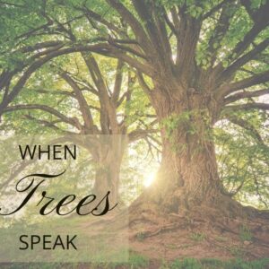 when trees speak to us